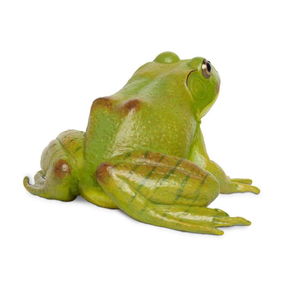 Figurină realistă broască bou americană, 12 cm – Safari Ltd