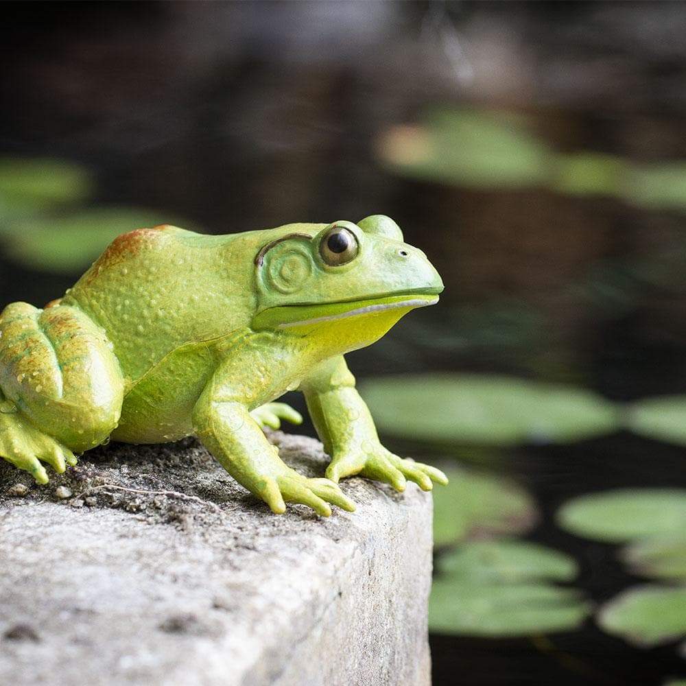 Figurină realistă broască bou americană, 12 cm – Safari Ltd