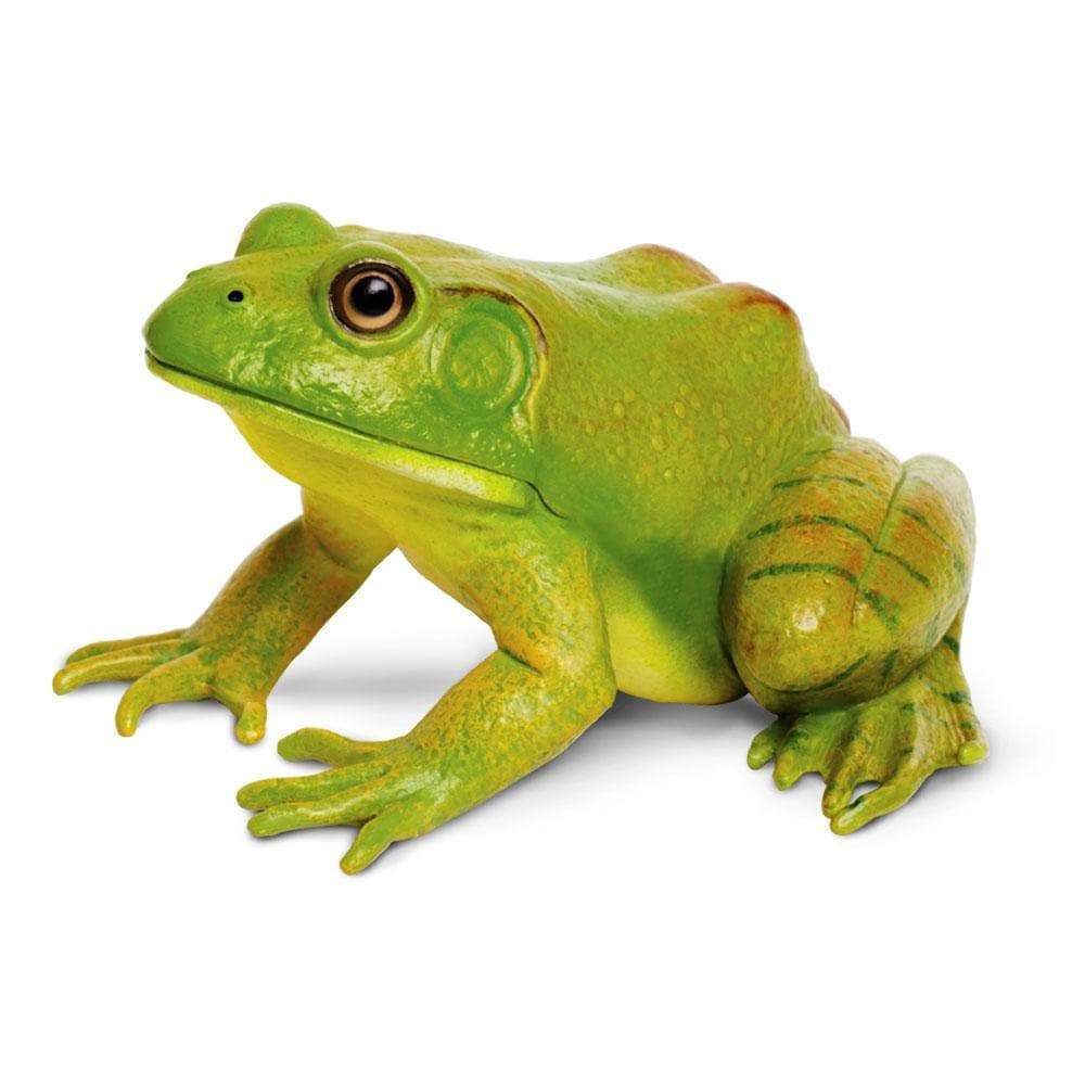 Figurină realistă broască bou americană, 12 cm – Safari Ltd