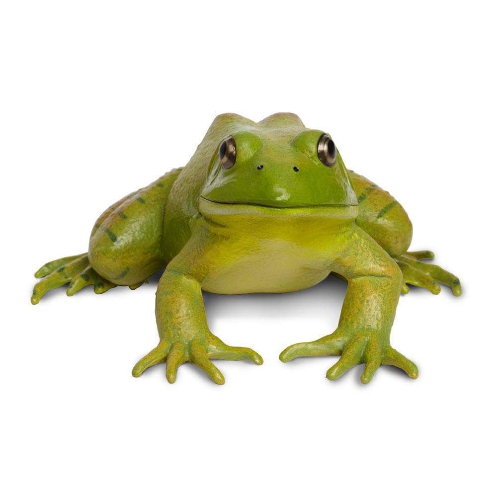 Figurină realistă broască bou americană, 12 cm – Safari Ltd