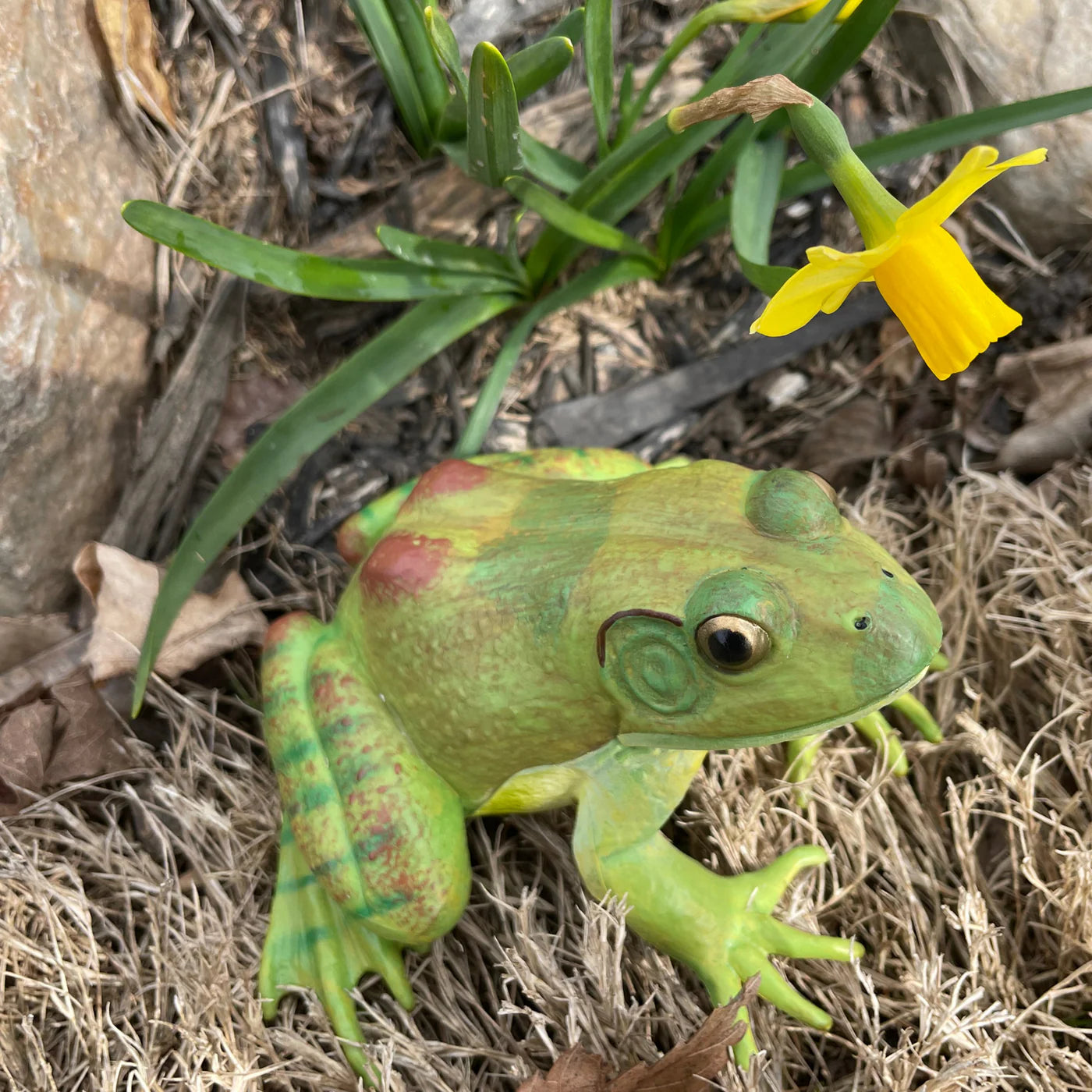 Figurină realistă broască bou americană, 12 cm – Safari Ltd