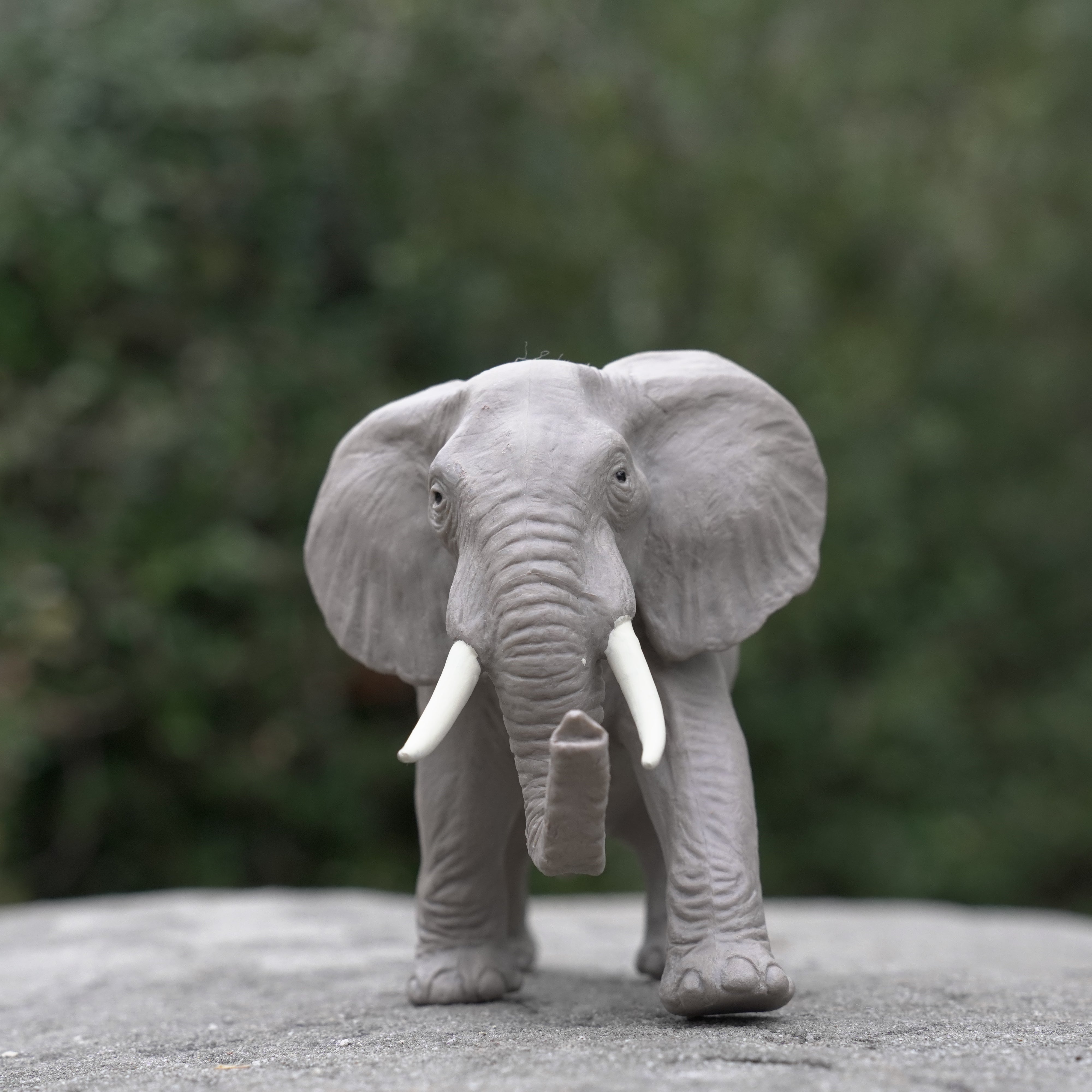 Figurină realistă elefant african, 16,5 cm – Safari Ltd.